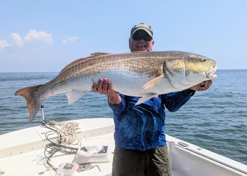 cbbt redfish