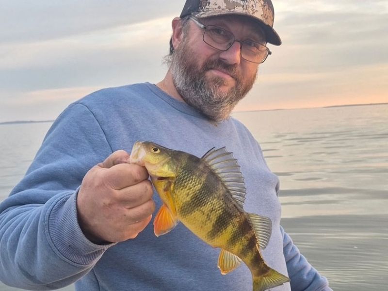 yellow perch fishing chesapeake bay
