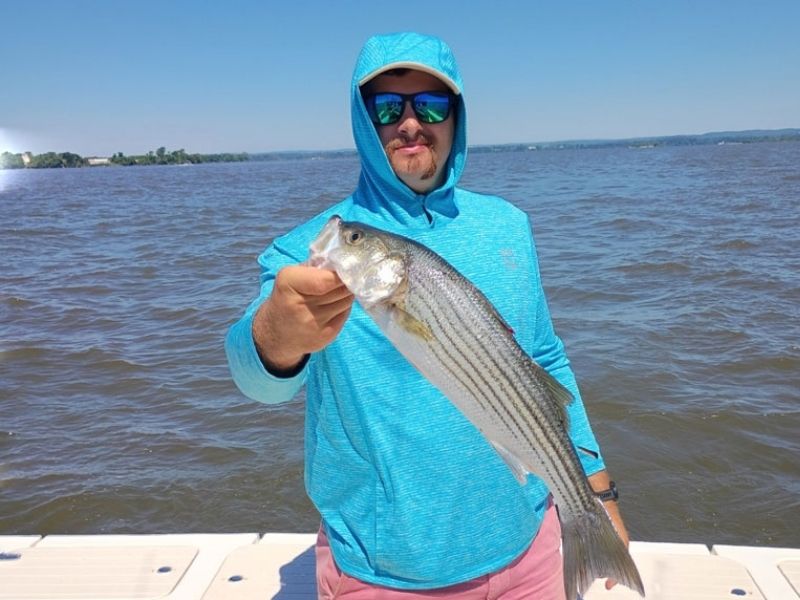 Striped bass fishing 