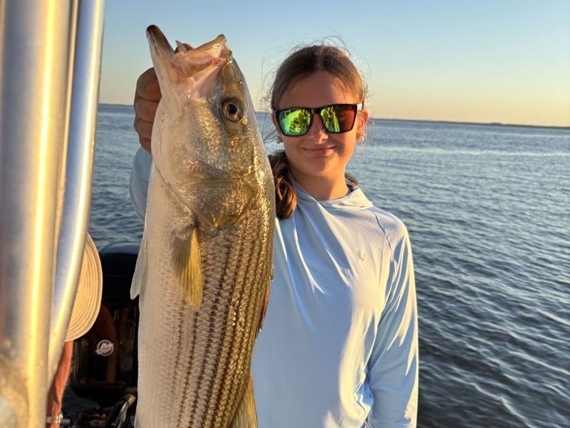 Striped bass fishing Chesapeake Bay