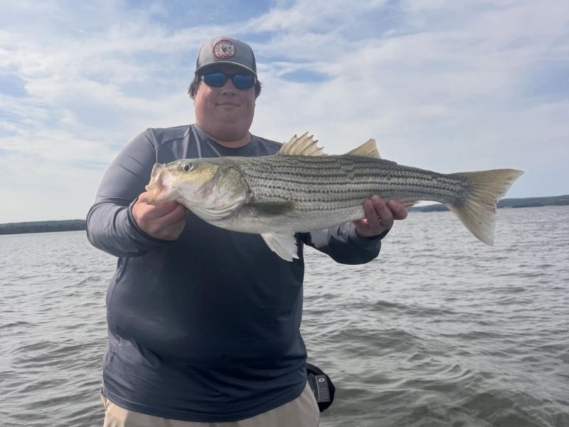 striped bass fishing chesapeake bay