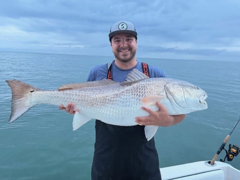 Bull red drum Chesapeake Bay
