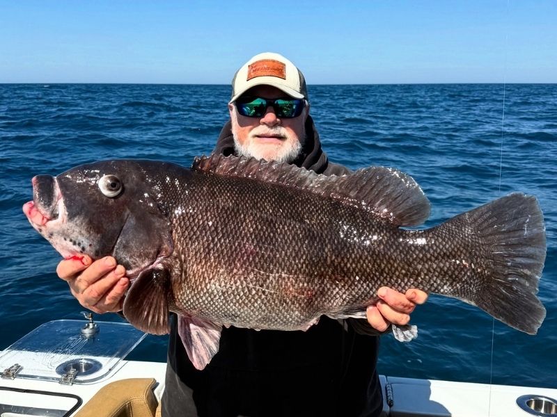 tautog fishing Virginia Beach