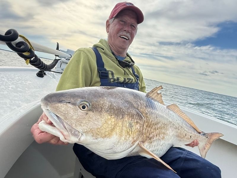 Red drum fishing chesapeake bay