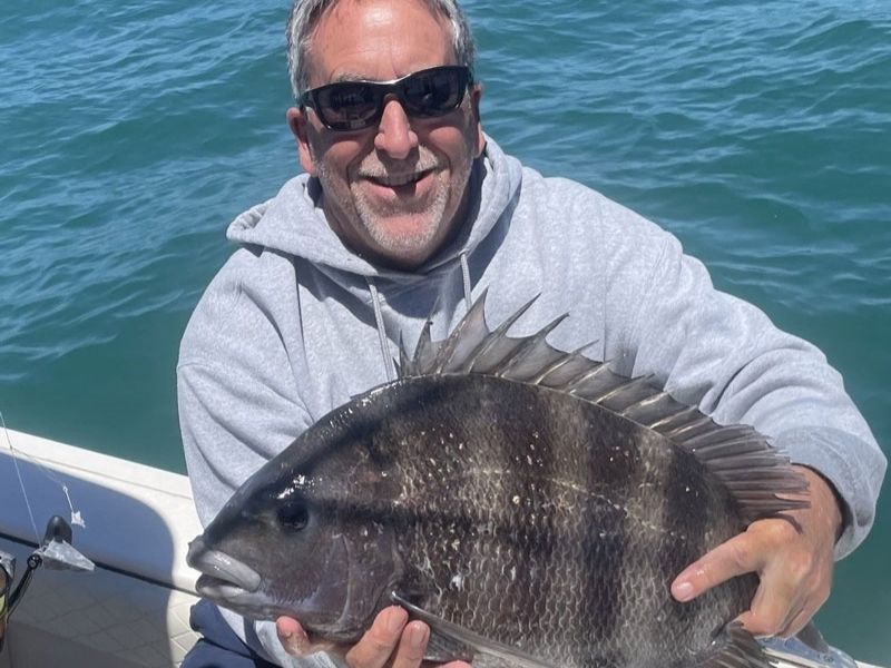 sheepshead fishing chesapeake bay