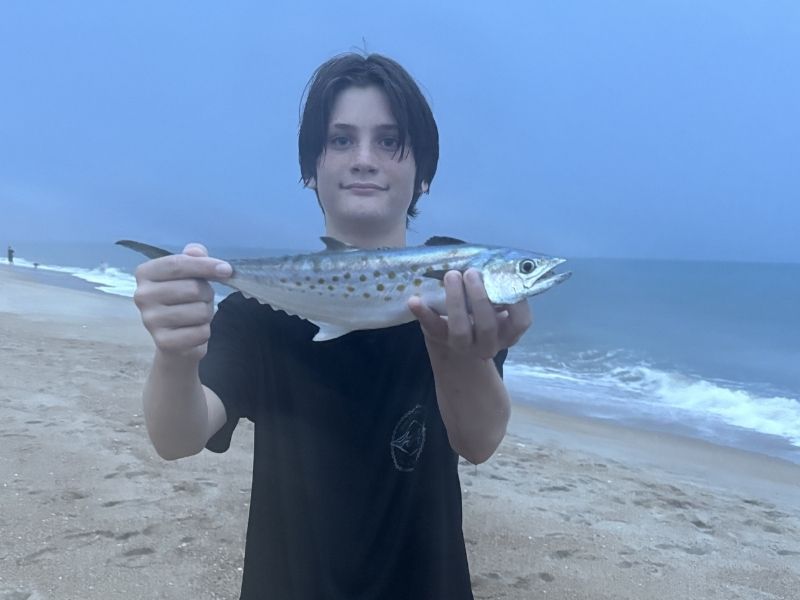 Spanish mackerel fishing