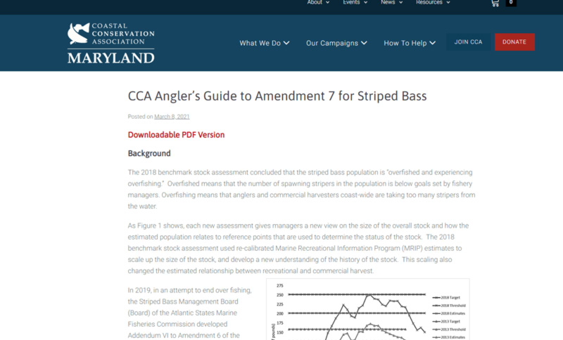 amendment 7 striped bass rockfish 