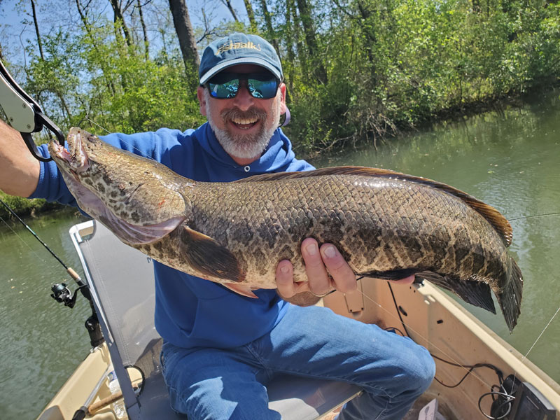 snakehead fish caught in april