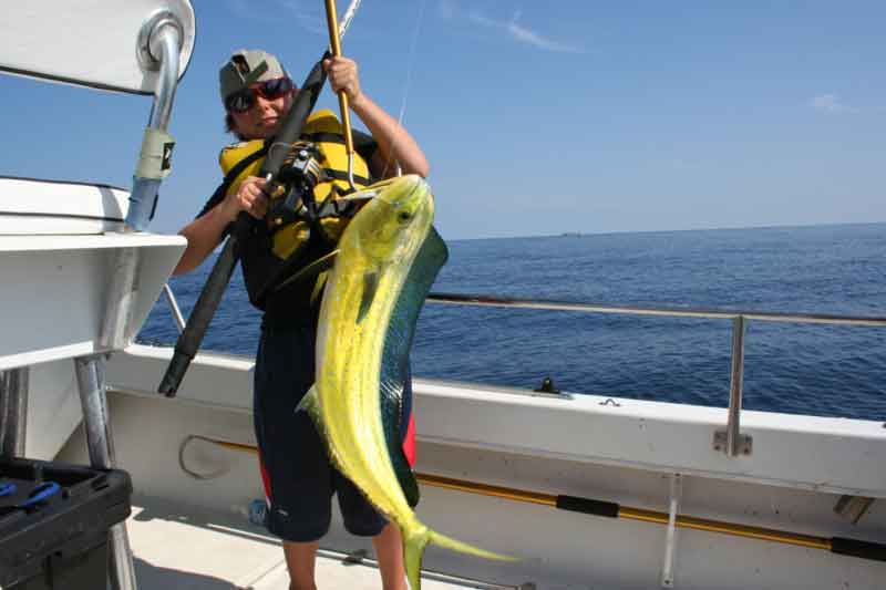 Pics Of Catching Mahi Mahi