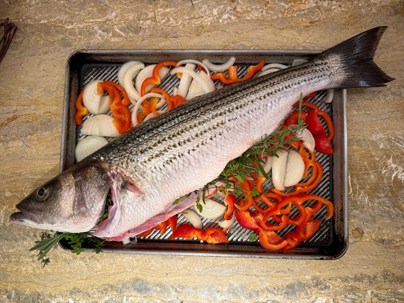 rockfish baking recipe before cooking
