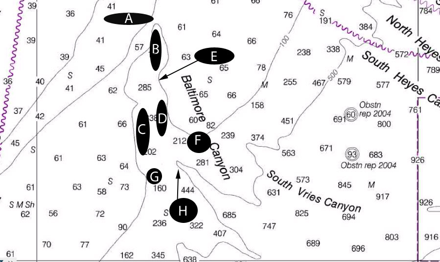 Baltimore Canyon Chart