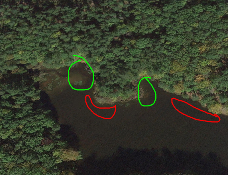 How to Find and Catch Bass on Beds