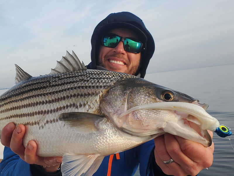 striped bass on the chesapeake bay