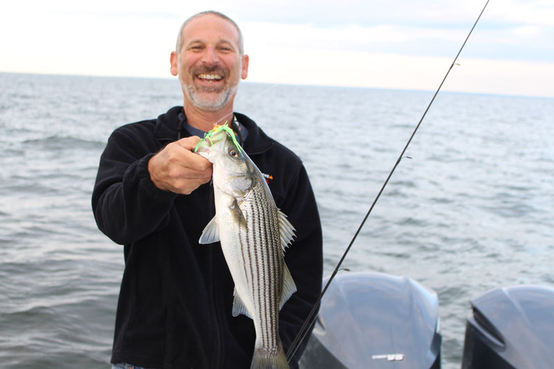 a rockfish caught at belvidere shoals