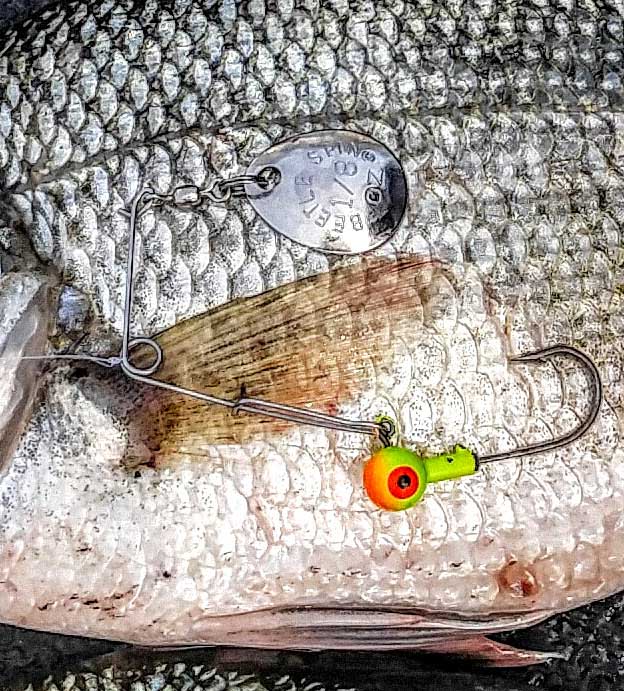 White Fishing Lures