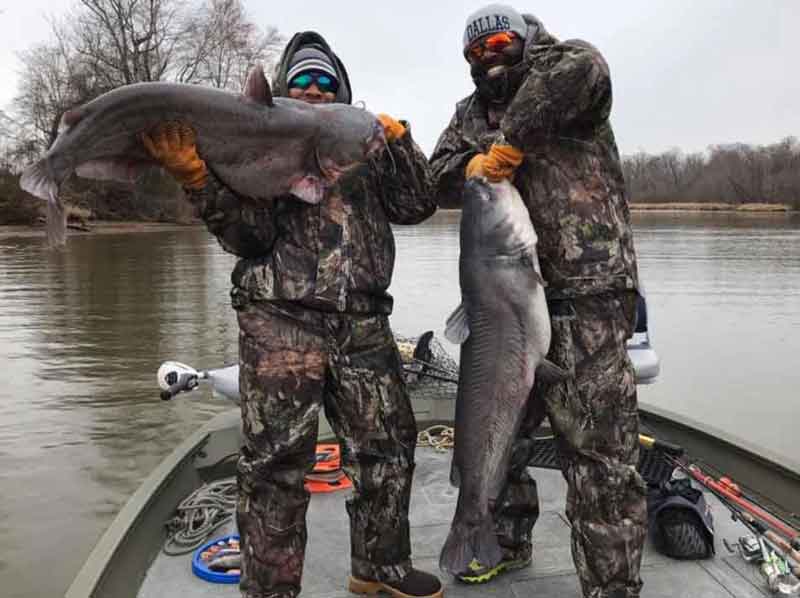 Monster Blue Catfish!!! This fish put up an EPIC fight! 🎣 #fishing #