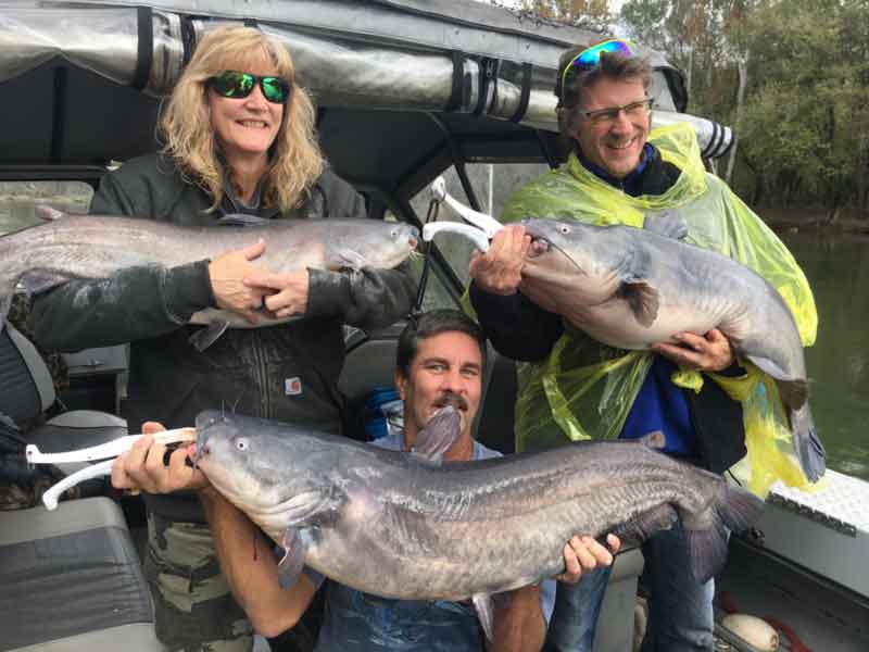 Reels for Big Catfish