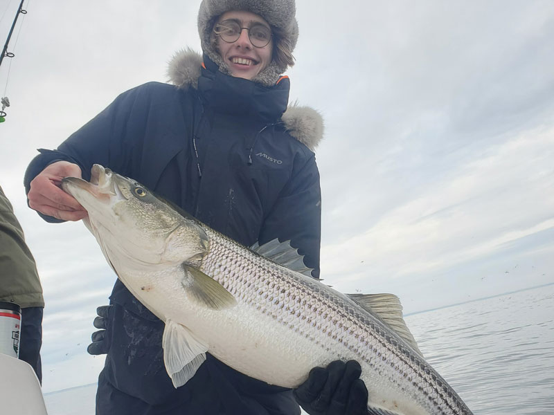 big striped bass caught during the winter