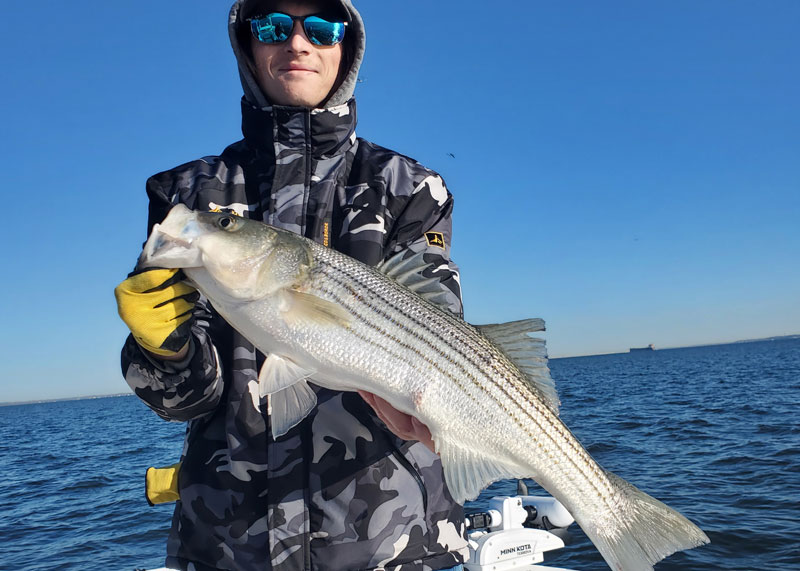 striped bass caught during pressure change