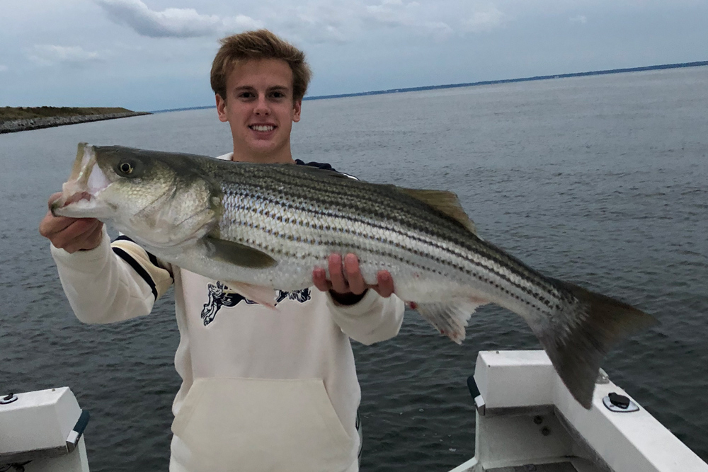 huge striped bass