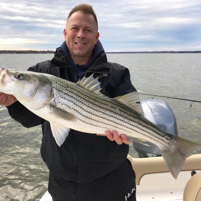 November Lower Chesapeake Bay Fishing Report