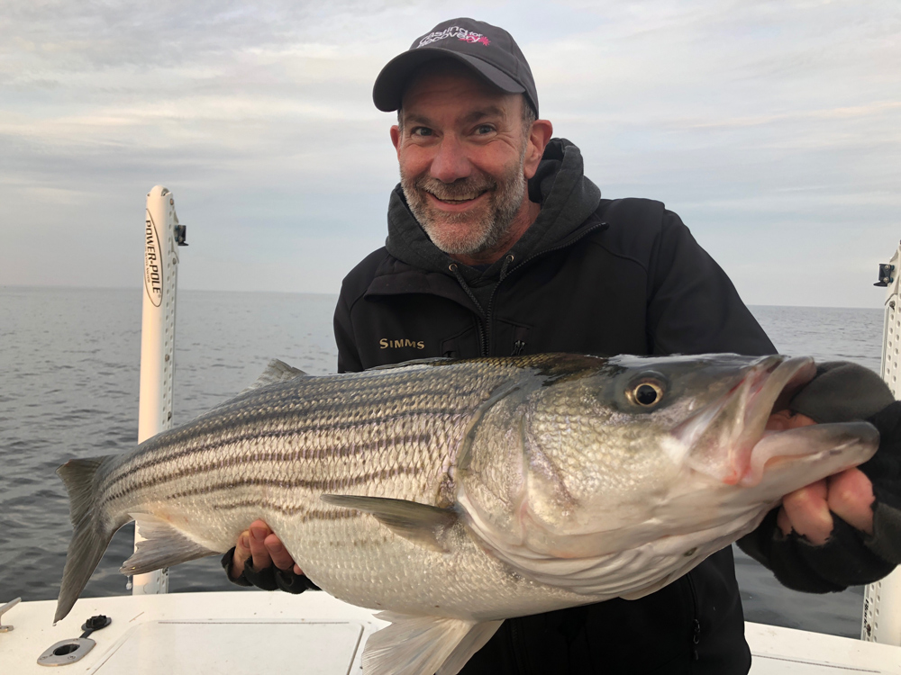 big striped bass on chesapeake bay
