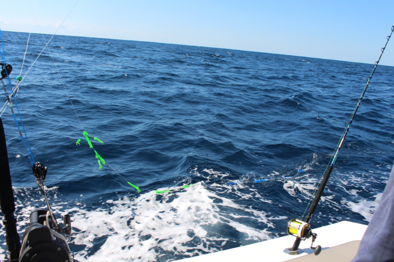 Setting The Small Boat Marlin Trolling Spread