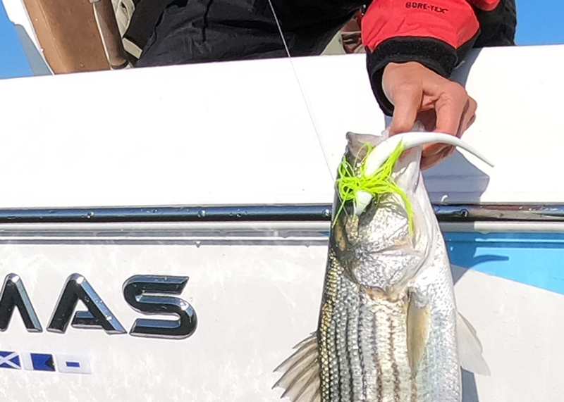 Striped Bass Fishing Tackle