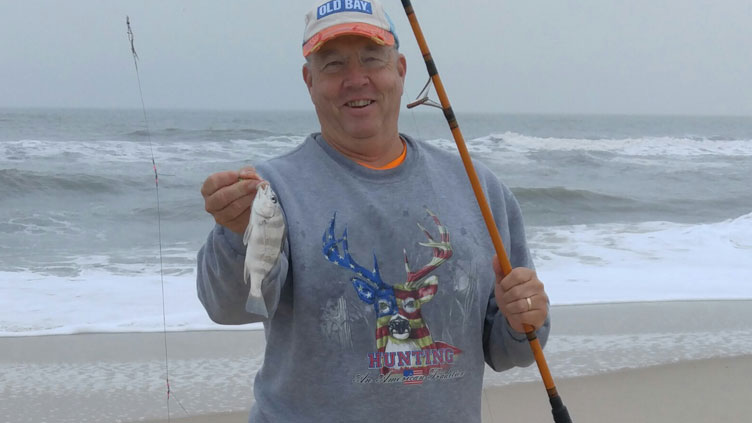 baby black drum in surf