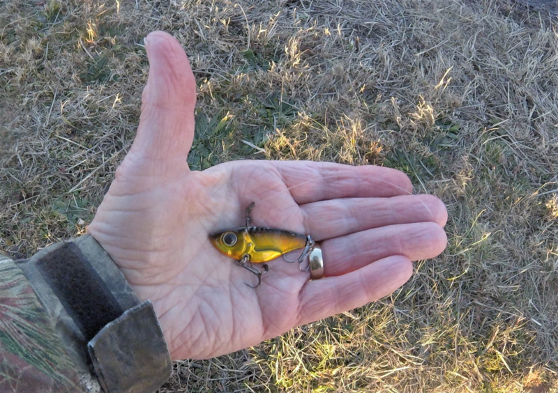 Blade Baits for Winter Bass