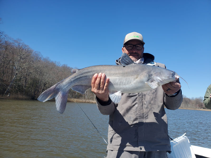 eric holds up a blue catfish from the patuxent river