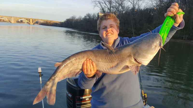 Bank Fishing At Night For Big Blue Catfish 