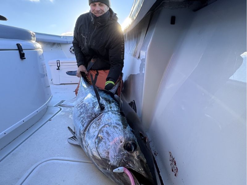 Bluefin tuna fishing