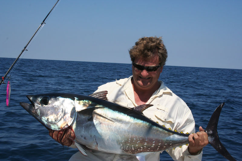 tuna caught jigging