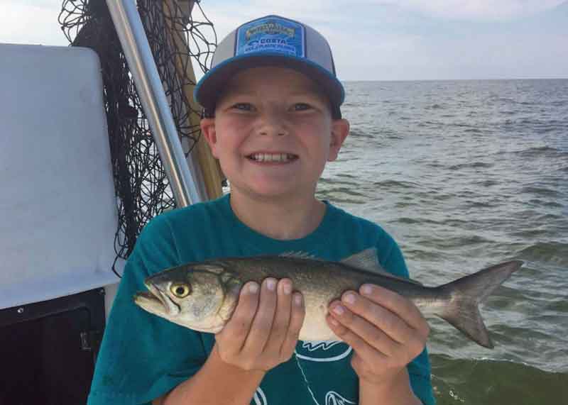 boy holds up a bluefish he caught fishing