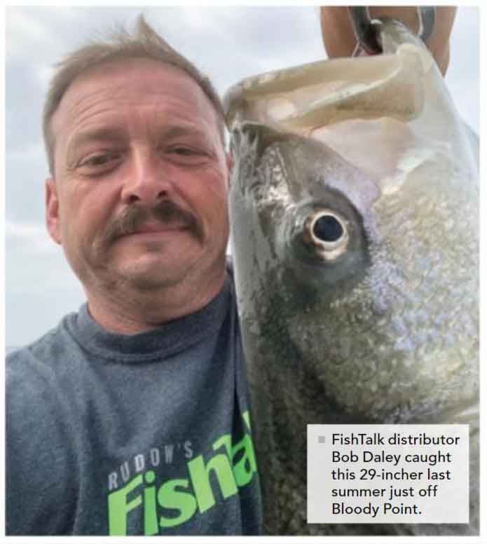 bob delivers magazines and catches fish