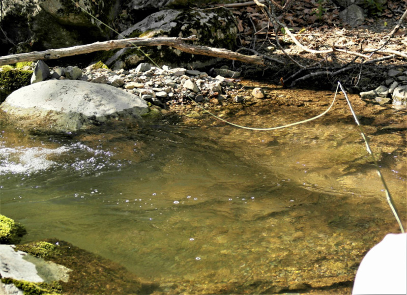 Brook Trout Fishing 101: Take a Hike