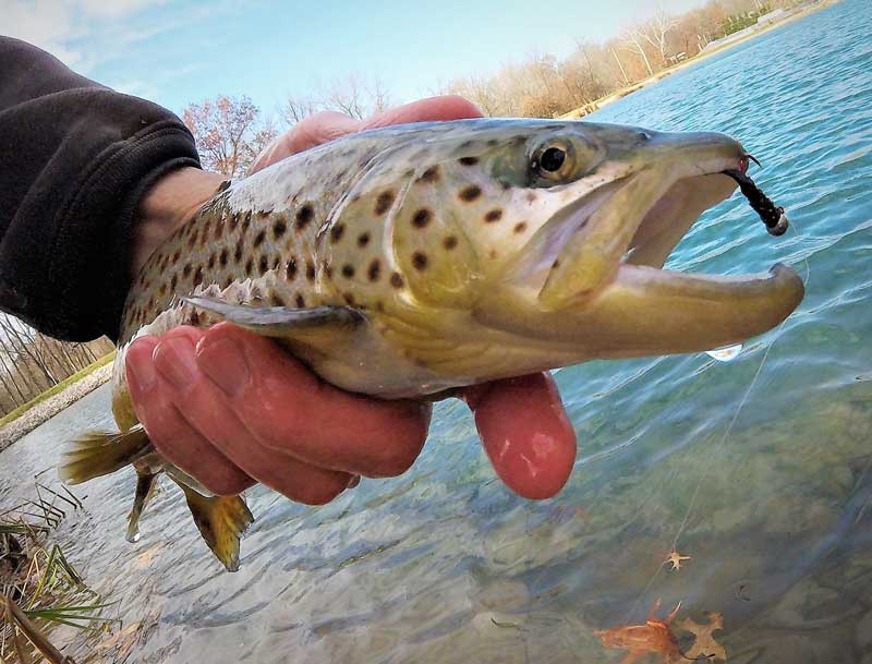 How to Catch Spring Trout