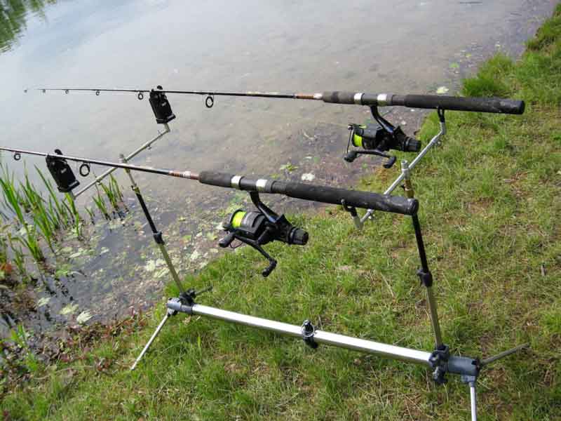 gear for carp fishing