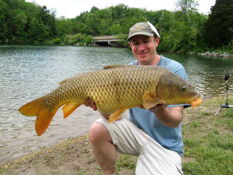 an angler with a big carp
