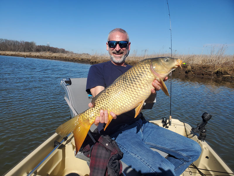 carp caught in a chesapeake bay tributary