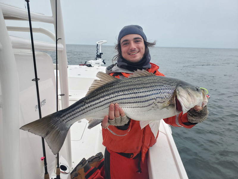 releasing large striper