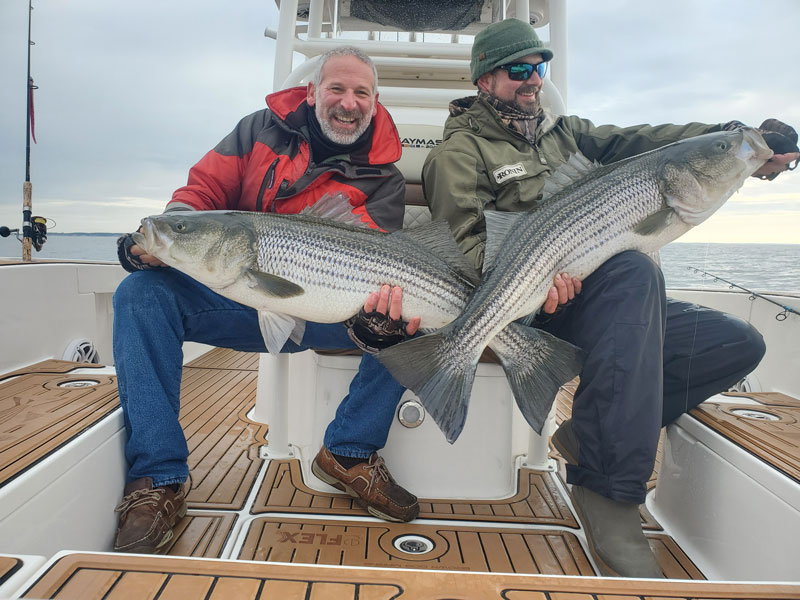 striped bass caught and released