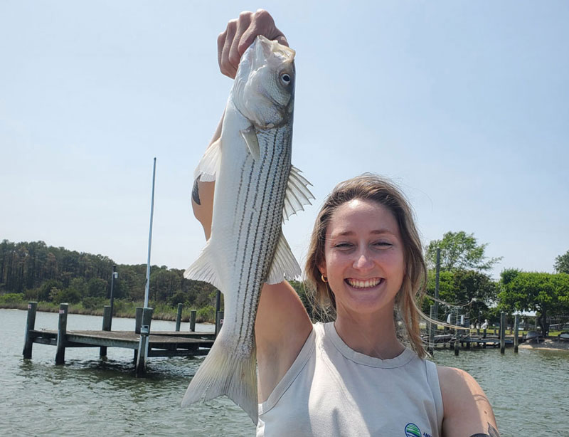 striped bass angler holds up her catch