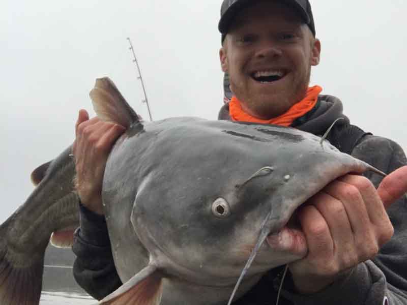 Rule of 4 Catfishing - Catfish Now