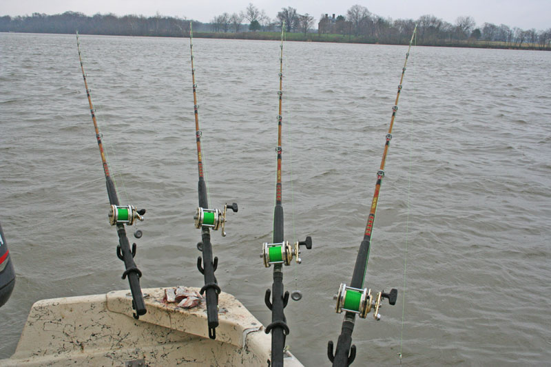 rods and reels set for catfish fishing