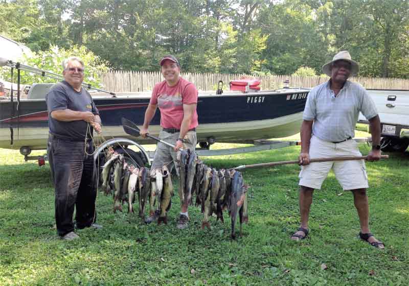 Catfishing in Maryland