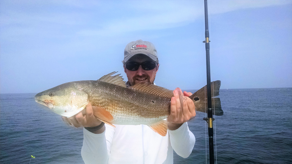 red drum caught at cbbt