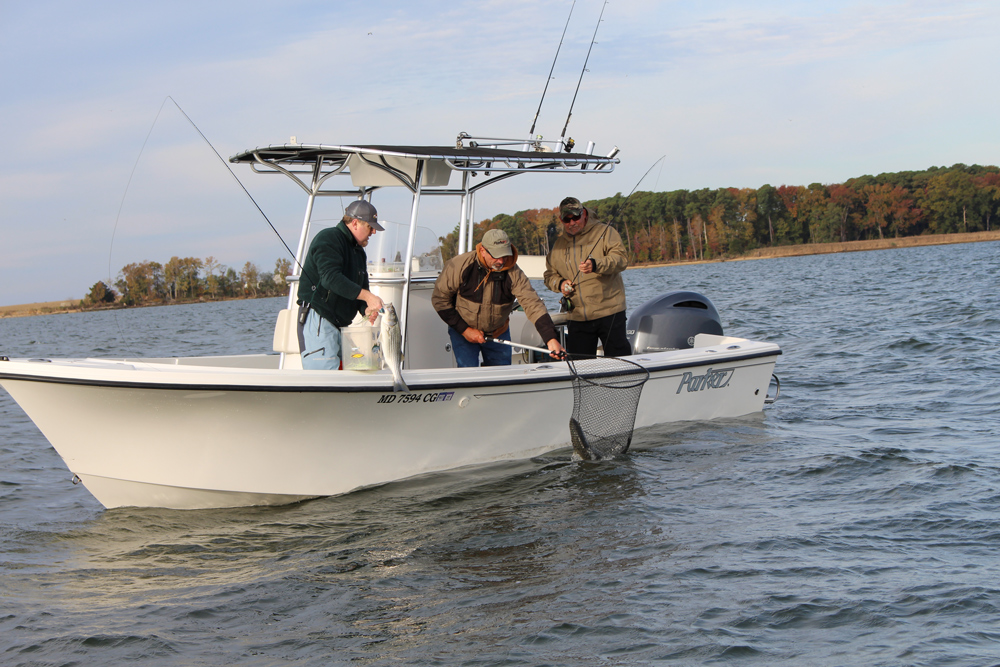 Center Console Fishing Boats