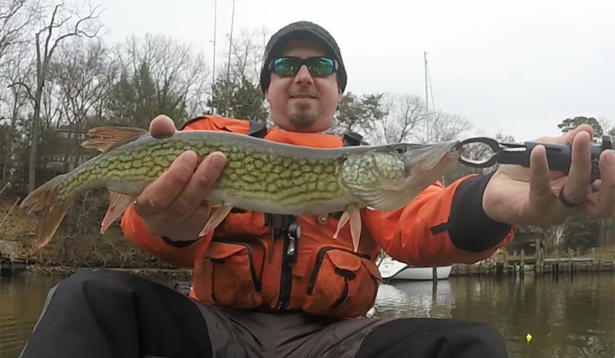 winter kayak fishing for chain pickerel